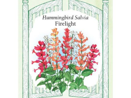 Firelight Salvia Online now