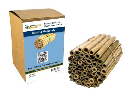 Spring Natural Reeds for Mason Bees - 8mm on Sale