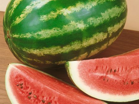 All Sweet Watermelon (Organic) Supply