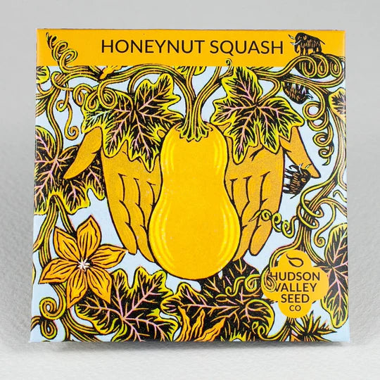 Honeynut Squash Online Hot Sale