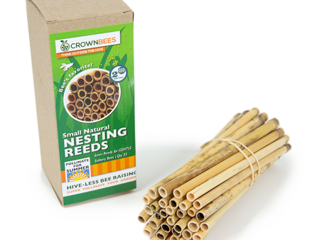 Summer Natural Reeds for Leafcutter Bees - 6mm Hot on Sale