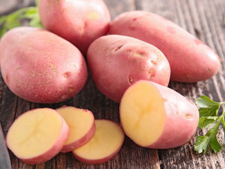 Ciklamen Potato (Organic) Supply