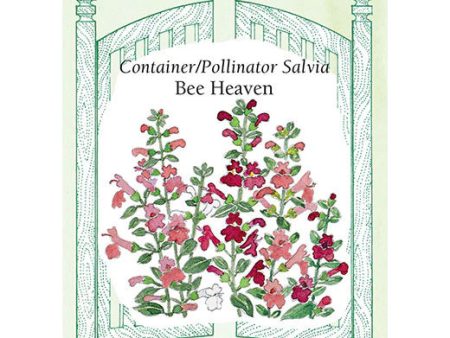 Bee Heaven Salvia Online