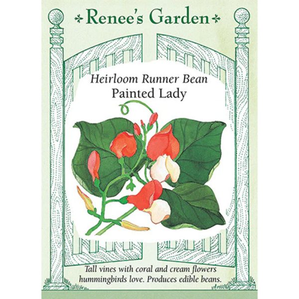 Painted Lady Runner Bean Seeds Online Hot Sale