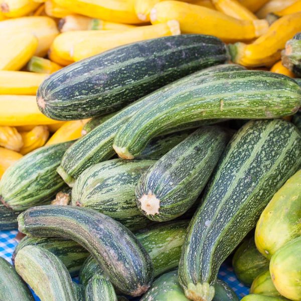 Cocozelle Summer Squash (Organic) Online now