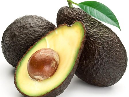 Hass Avocado Tree (Potted) Online Sale