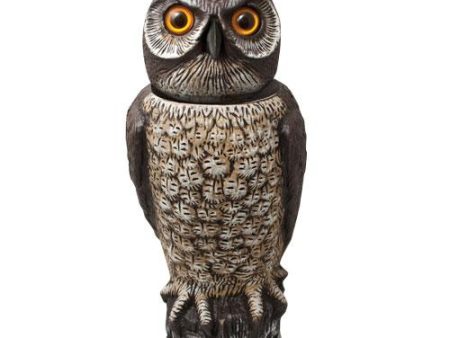 Rotating Head Owl Fashion