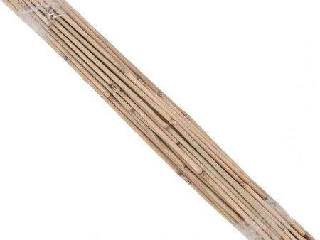 Bamboo Stakes - 2  (Pack of 50) Discount