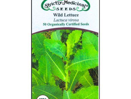 Wild Lettuce (Organic) Online now