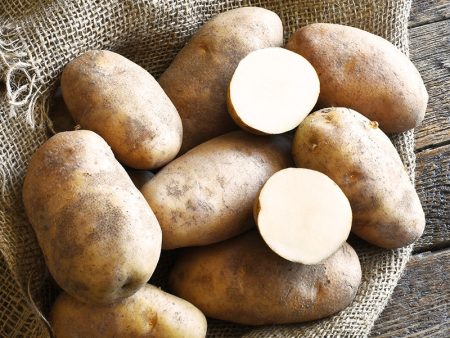 Russet Norkotah Potato (Organic) For Sale