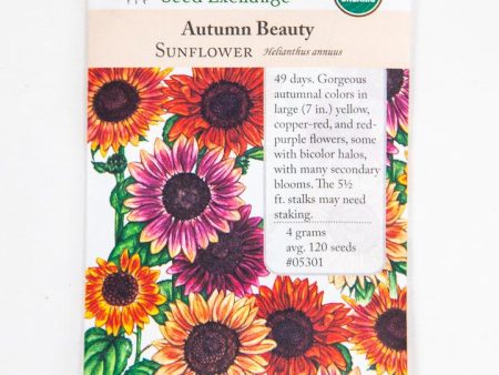 Autumn Beauty Sunflower (Organic) Sale