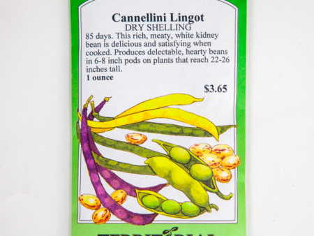 Cannellini Bush Bean For Sale