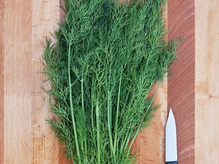 Greensleeves Dill (Organic) Discount