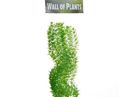 Aquarium Decor Wall of Plants - Anacharis 1 Pack by YUP Online Hot Sale